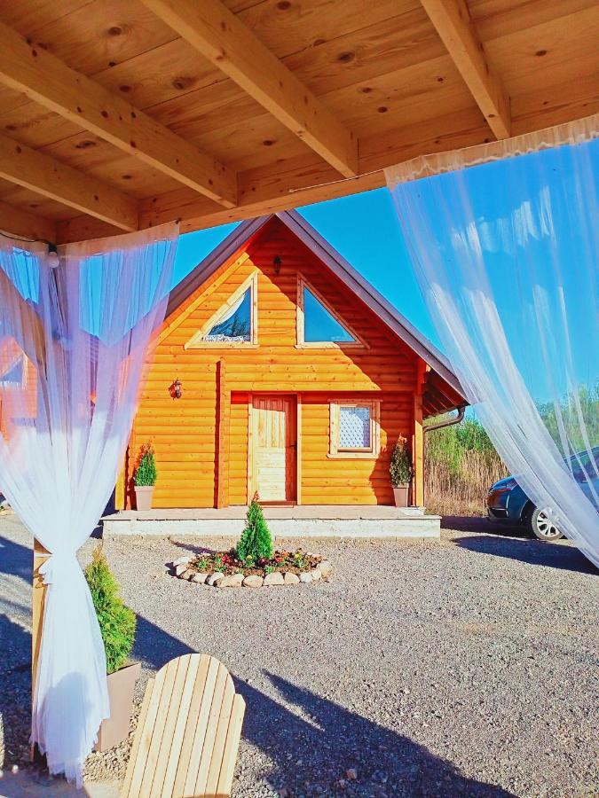 Brvnare Madera Banja Zdrelo Villa Exterior photo