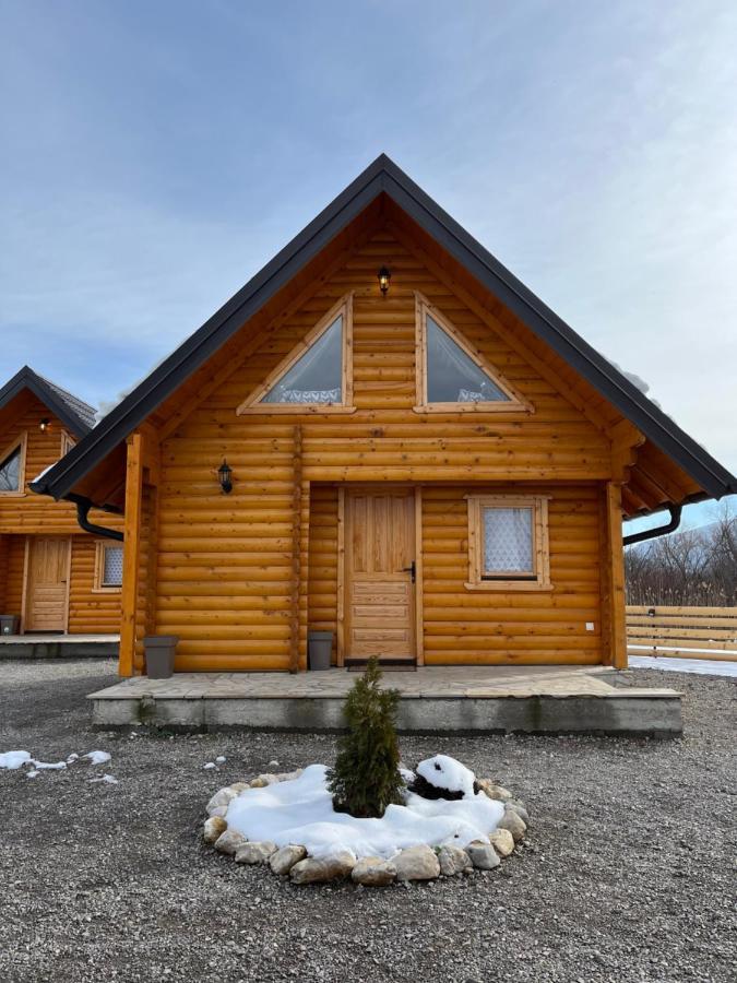 Brvnare Madera Banja Zdrelo Villa Exterior photo